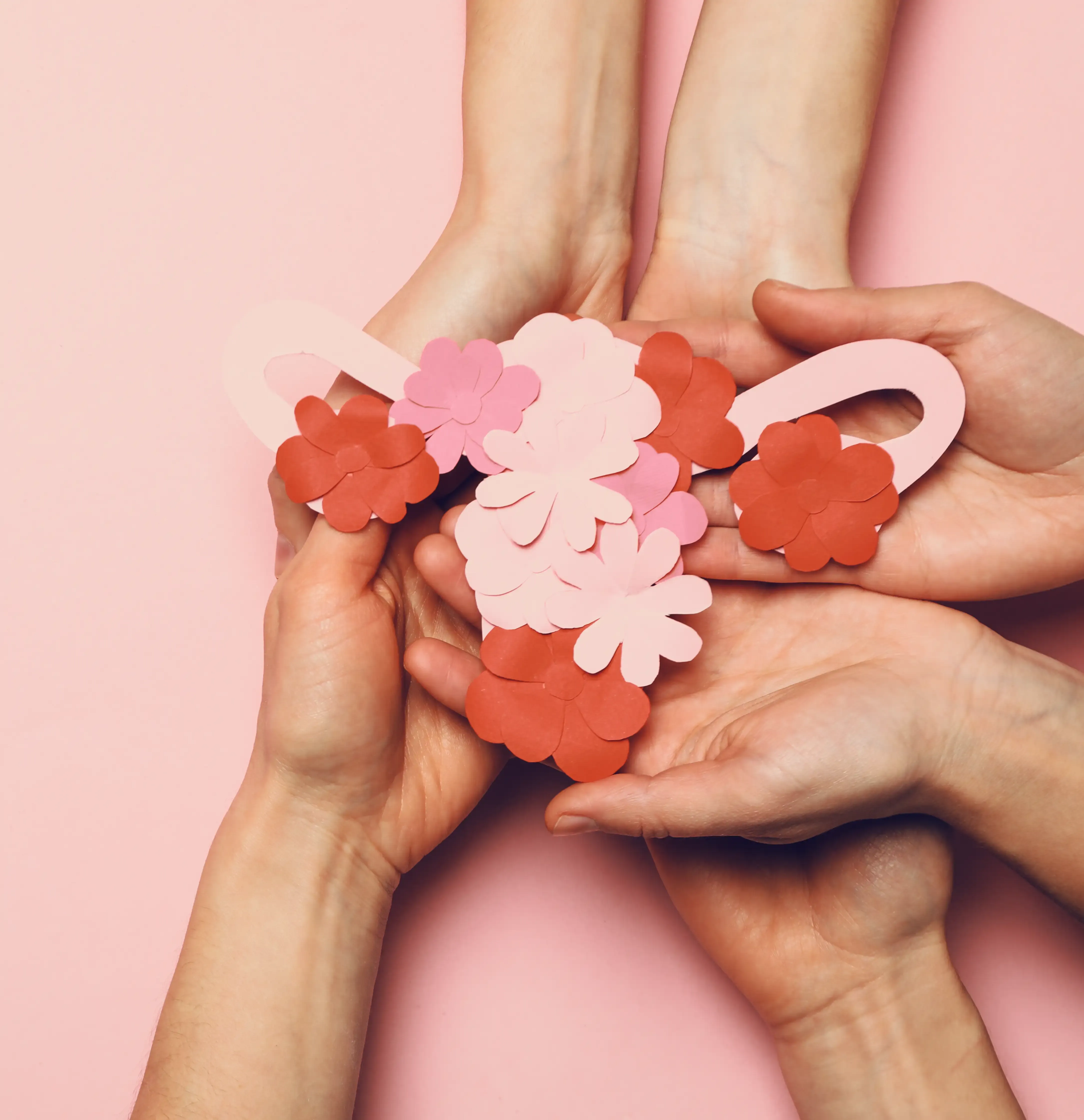 Atelier collectif sur le cycle menstruel féminin